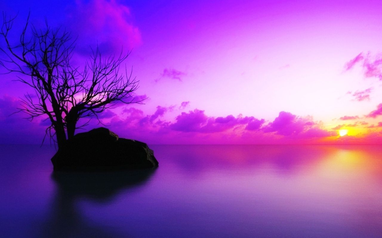 Purple sunset wallpaper