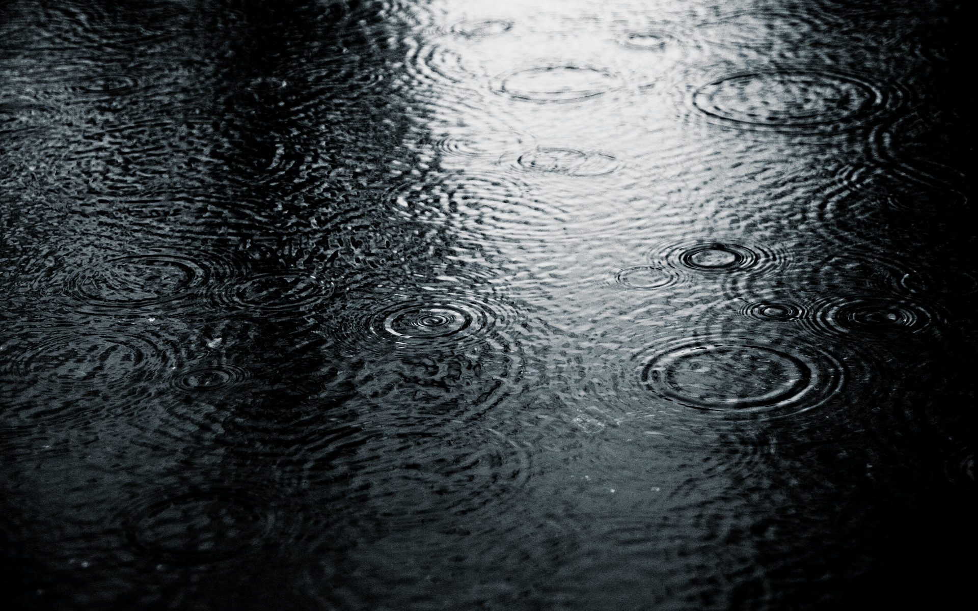 Rain desktop wallpaper