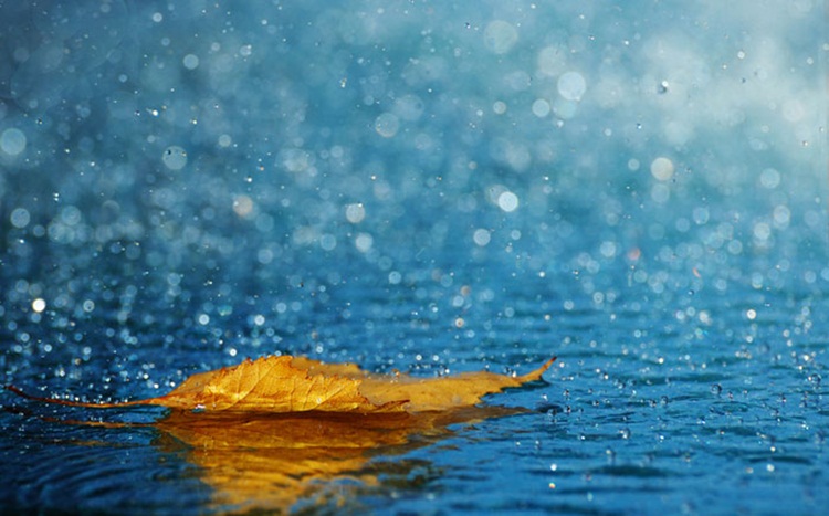Rain image