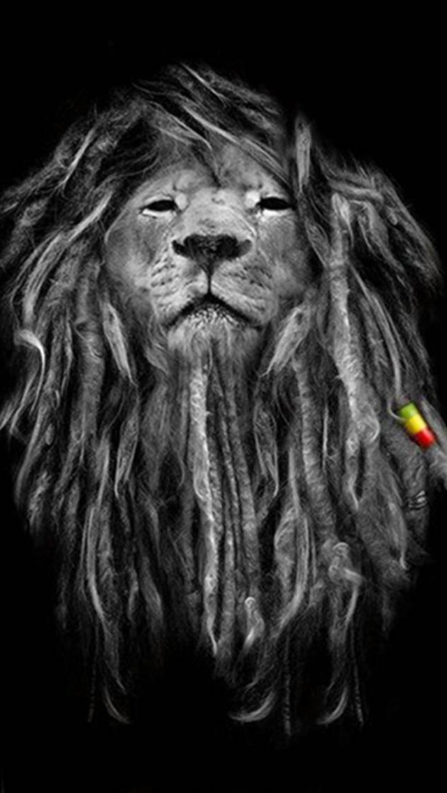 rasta lion wallpaper #17