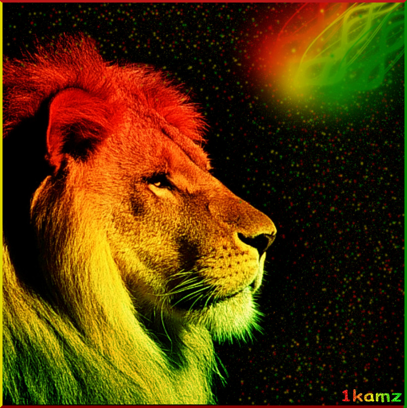 rasta lion wallpaper #13