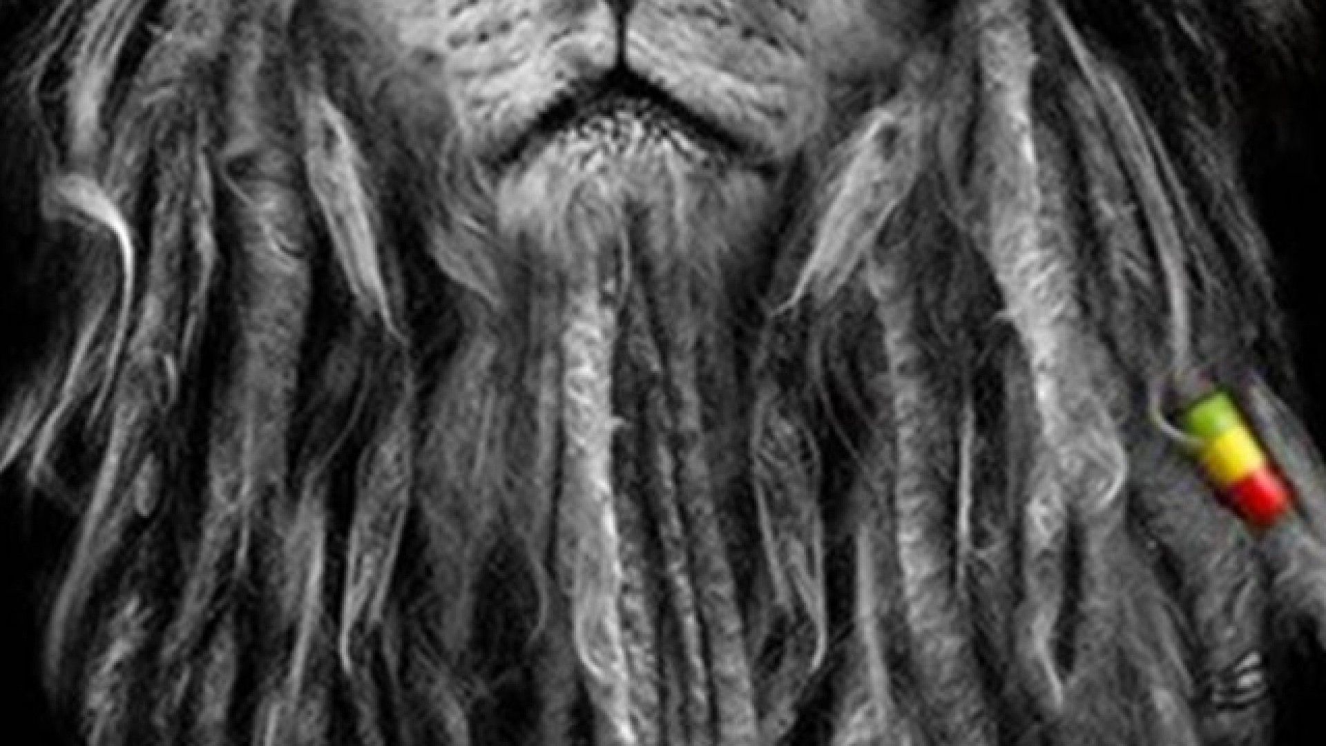 rasta lion wallpaper #21
