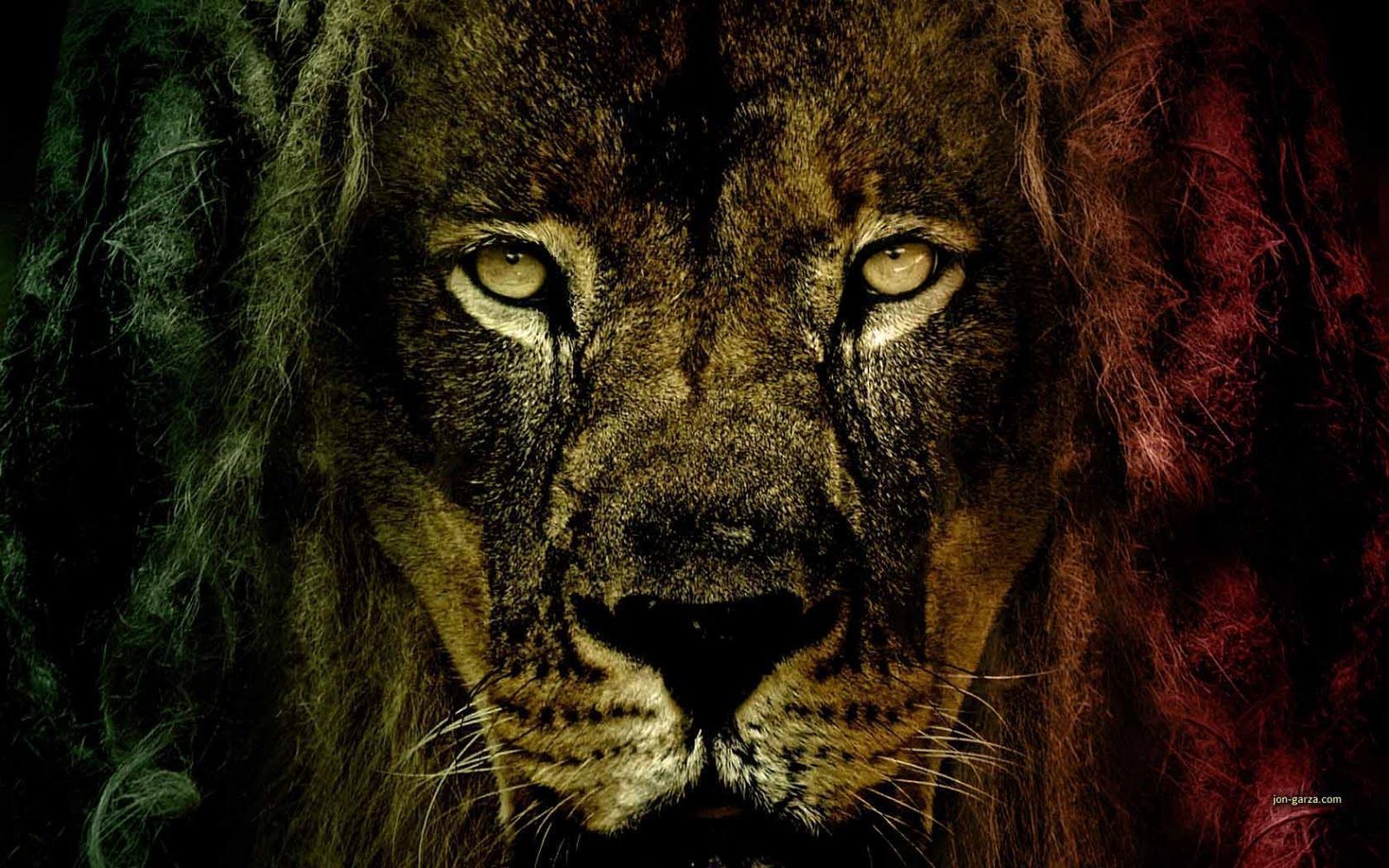 rasta lion wallpaper #11