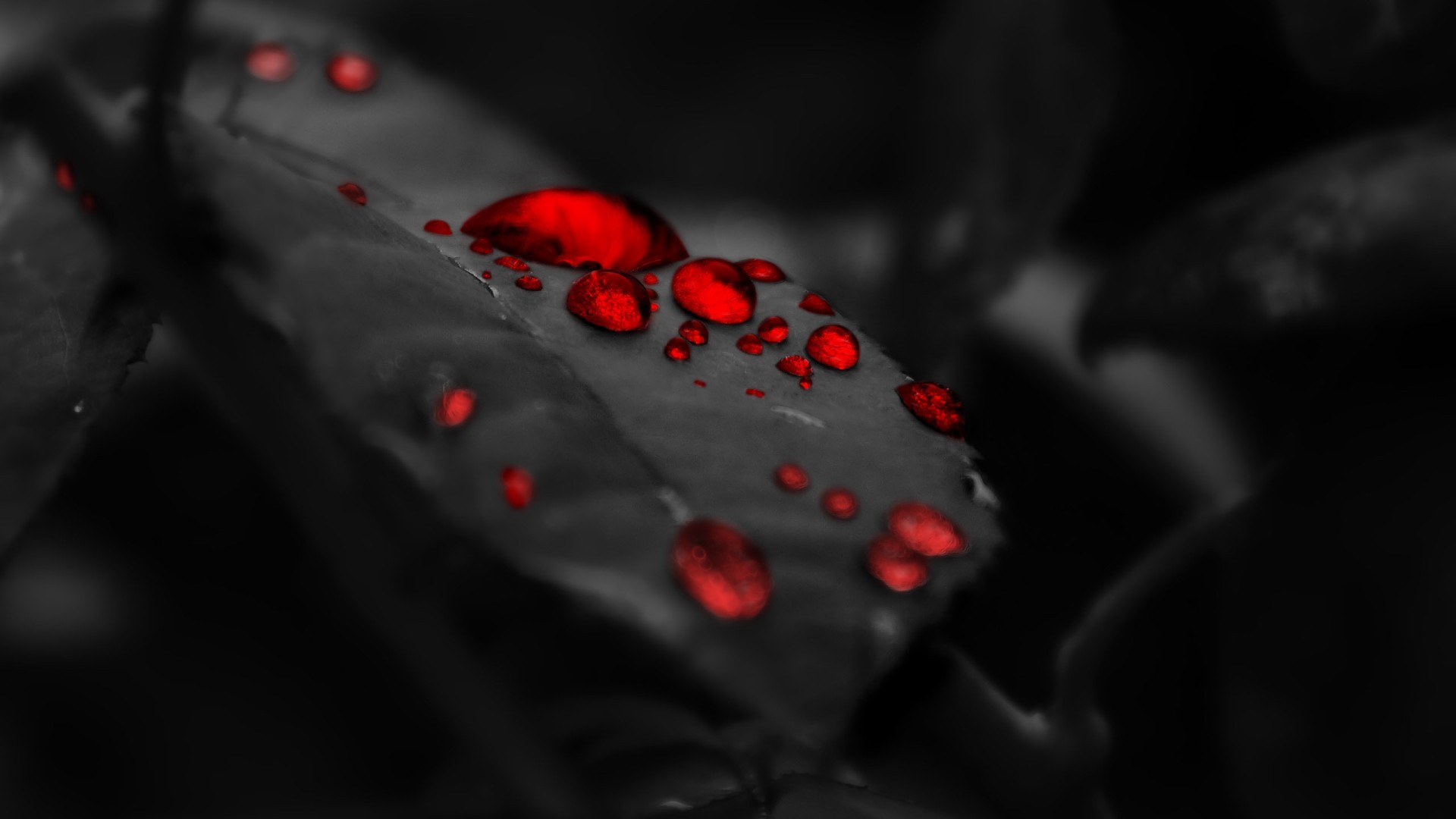 Wallpaper hd black and red