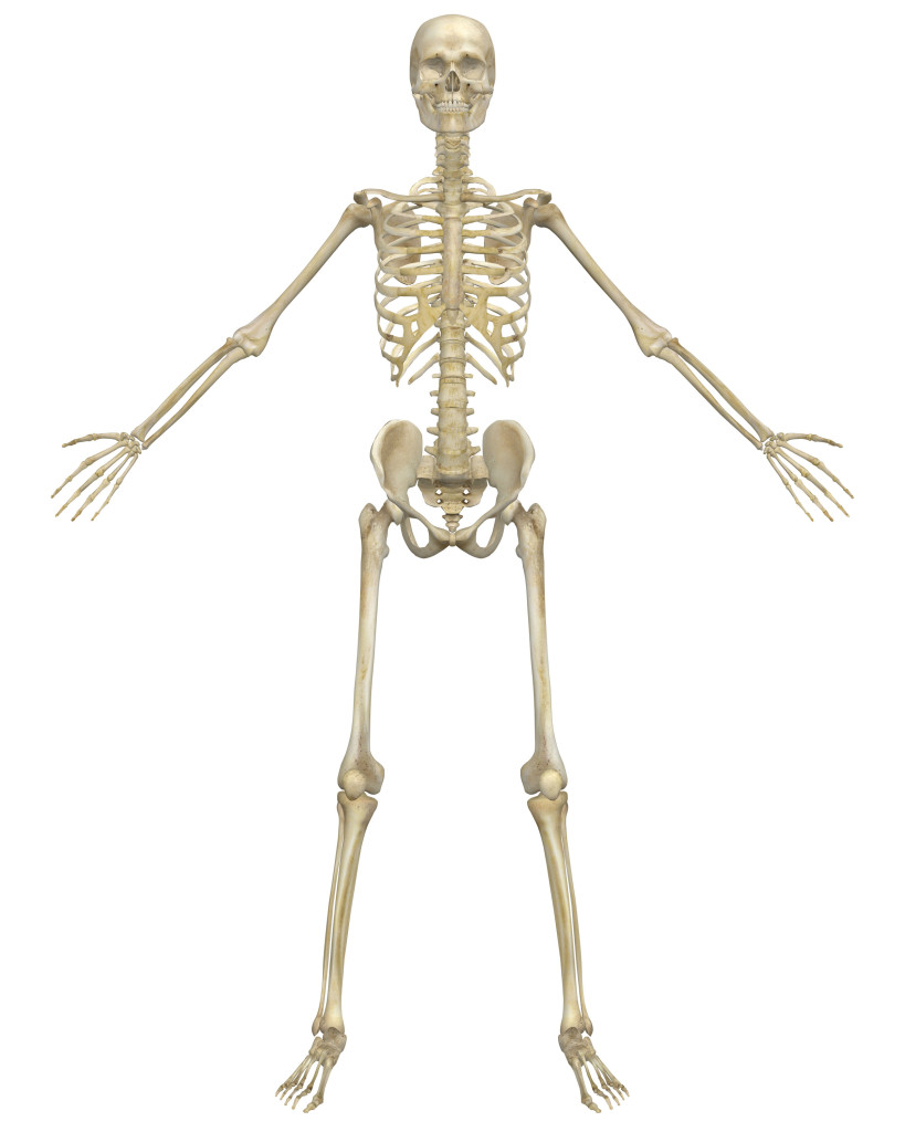 Skeleton images