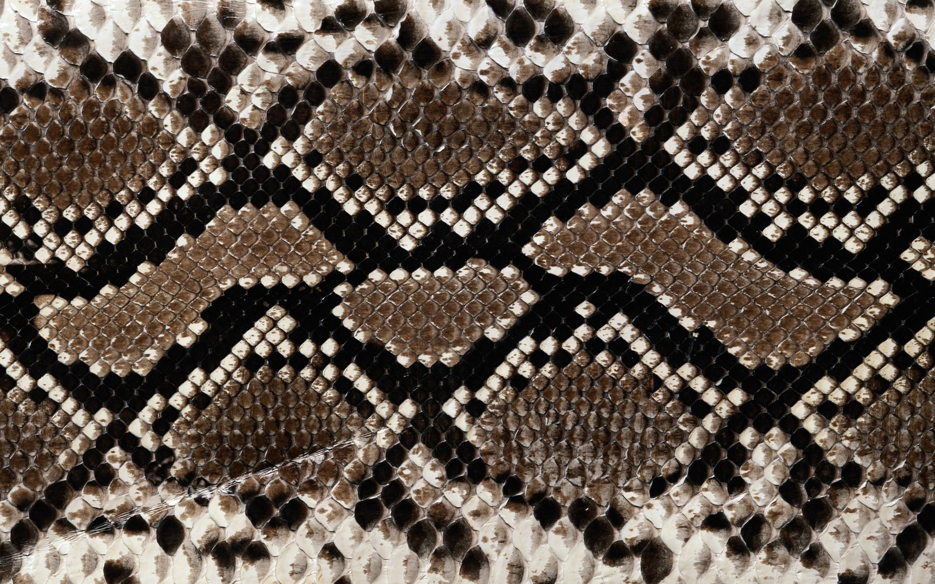 Snake skin wallpaper