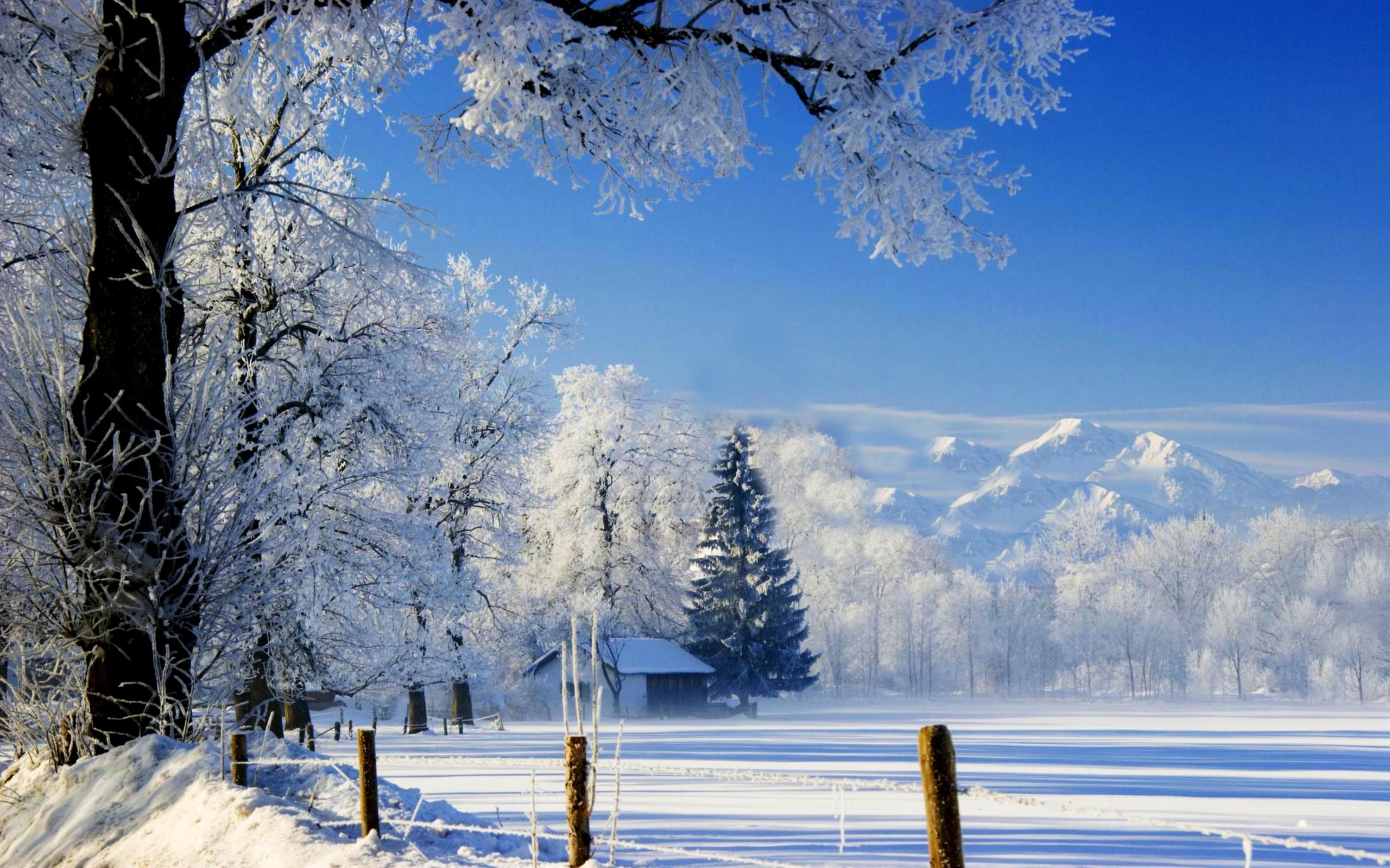 Snow scenery wallpaper | HD Wallpapers