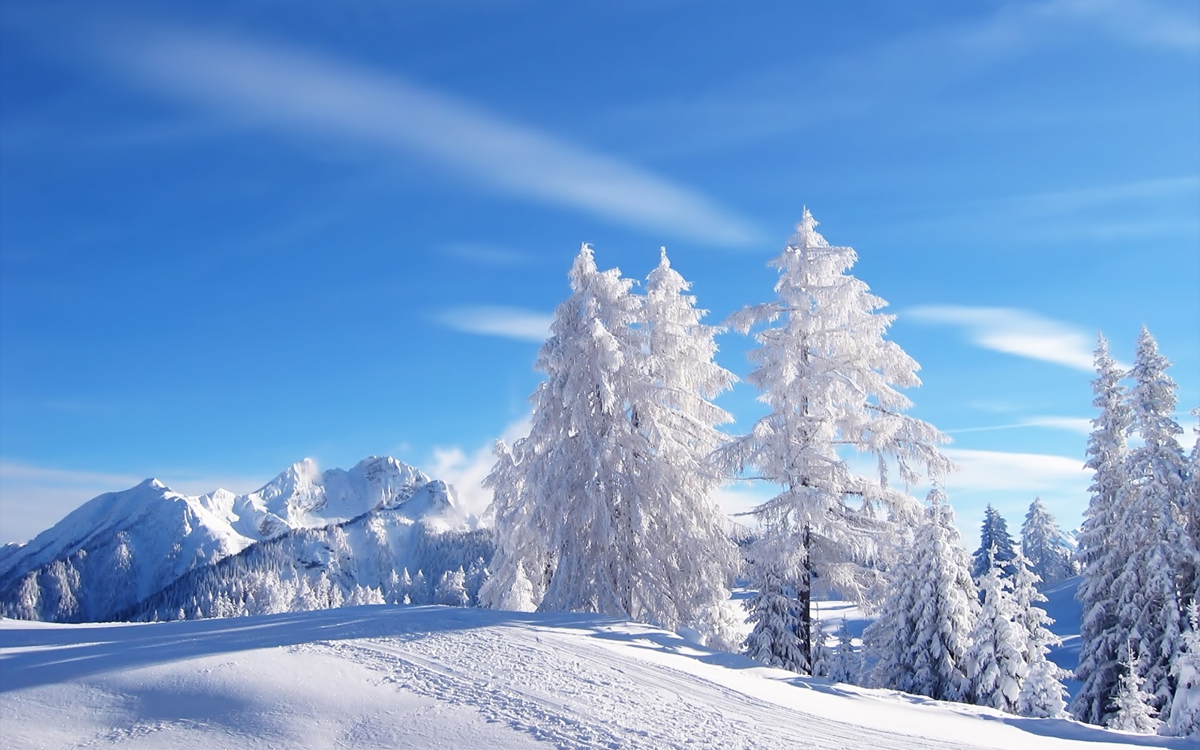 Snow Wallpaper Winter Nature Wallpapers in jpg format for free