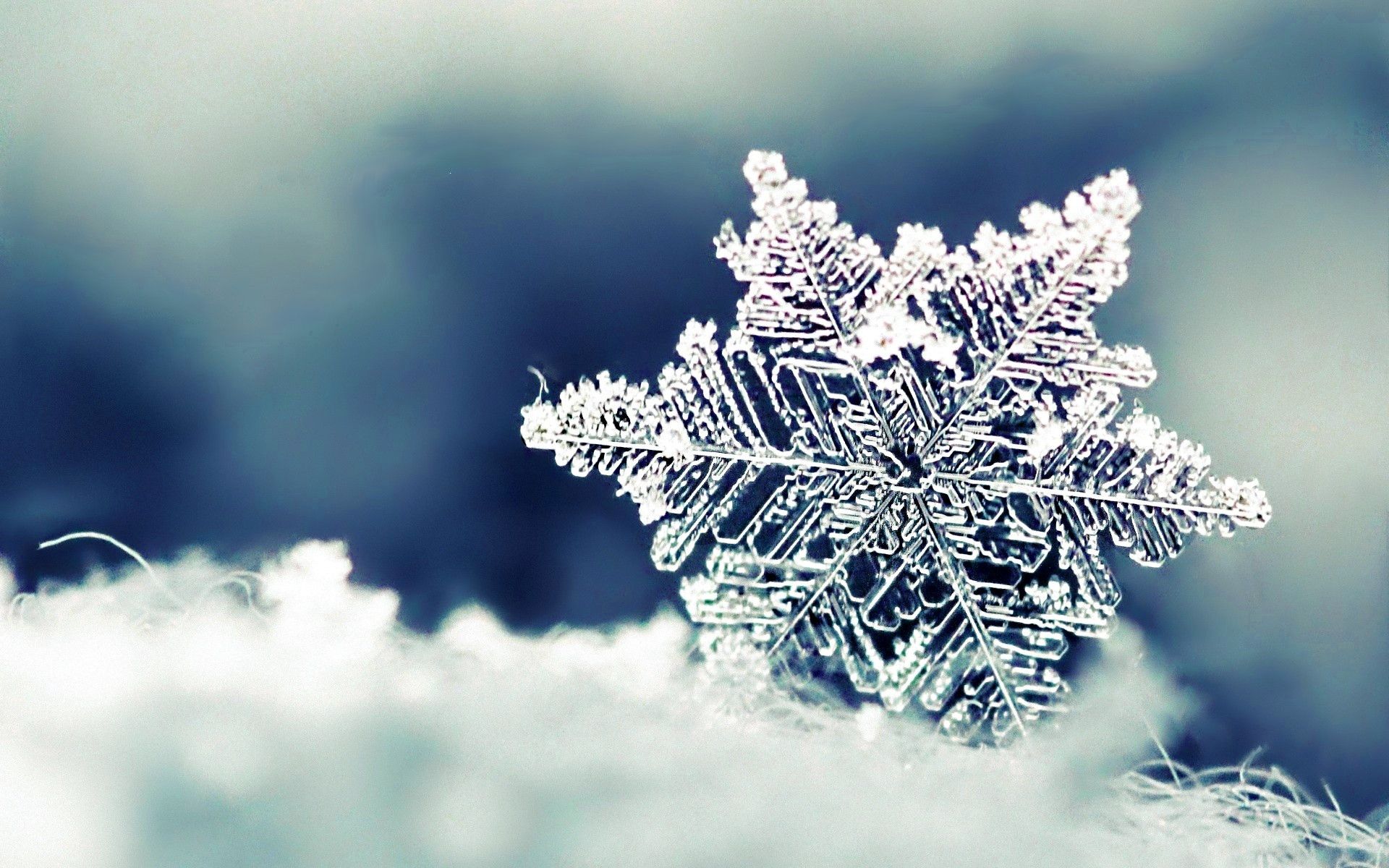 Snowflakes wallpapers