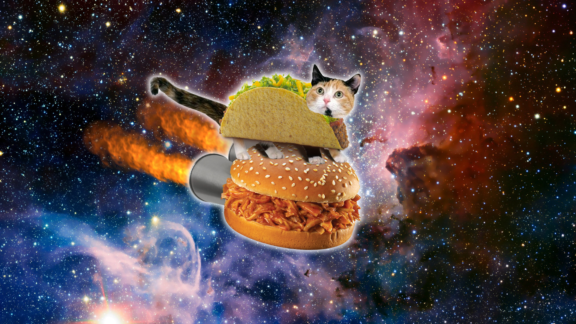 Space cat wallpaper