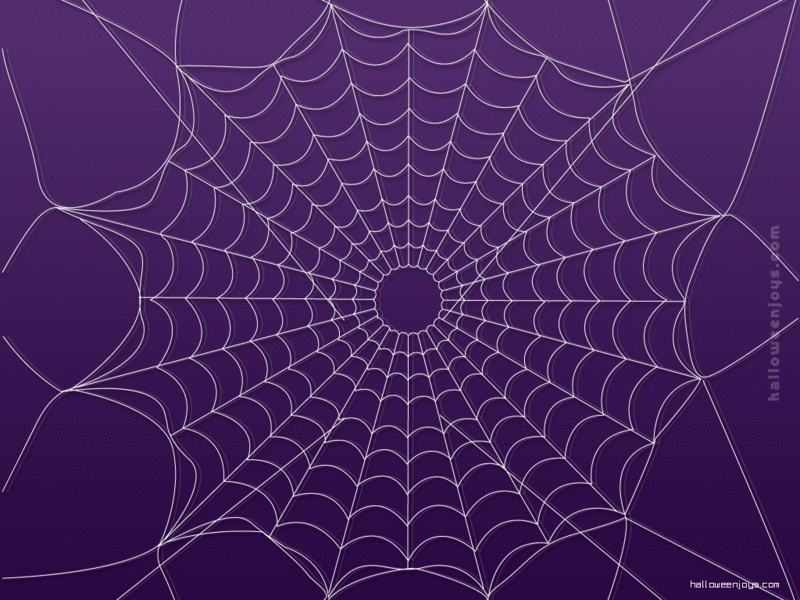 Spider web background