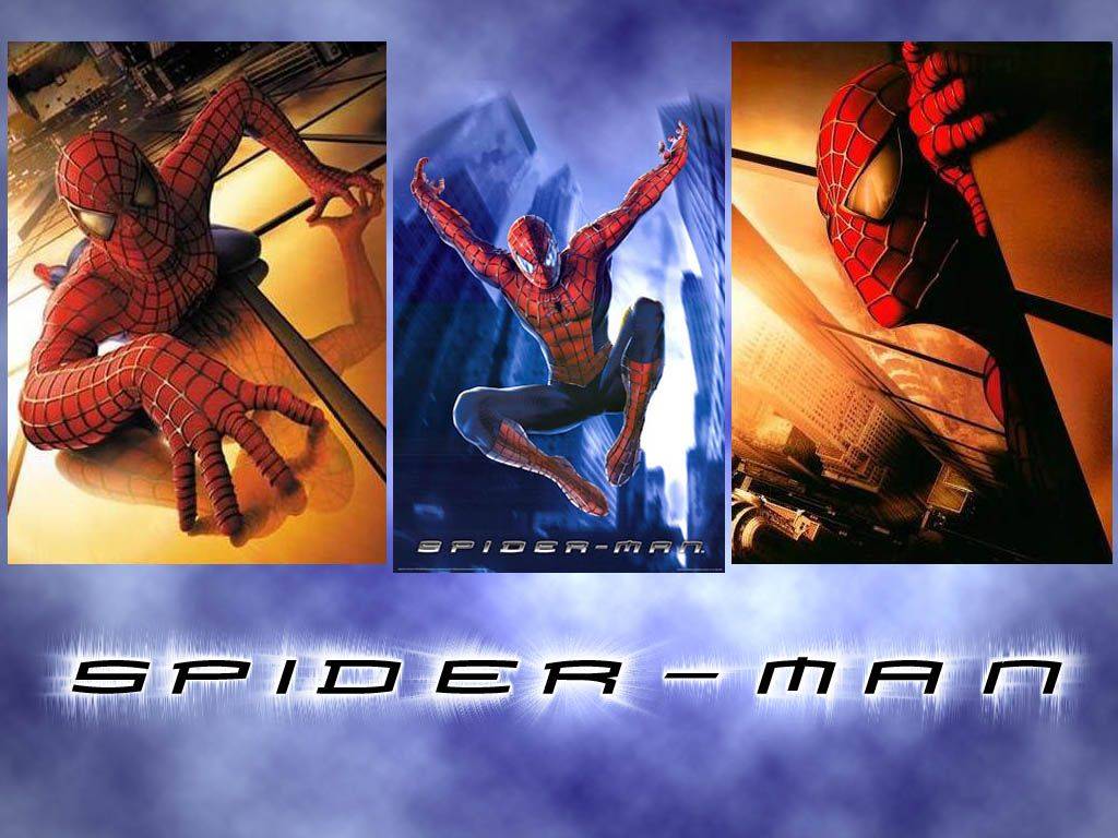 spiderman 1 wallpaper #9