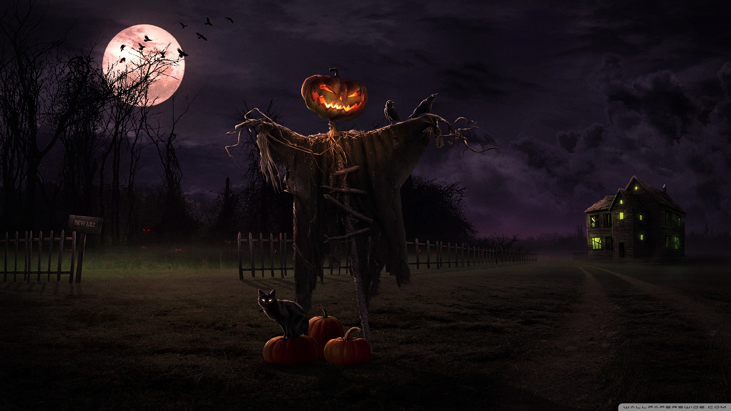 Spooky halloween backgrounds