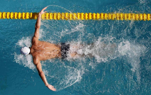 Swimming wallpaper