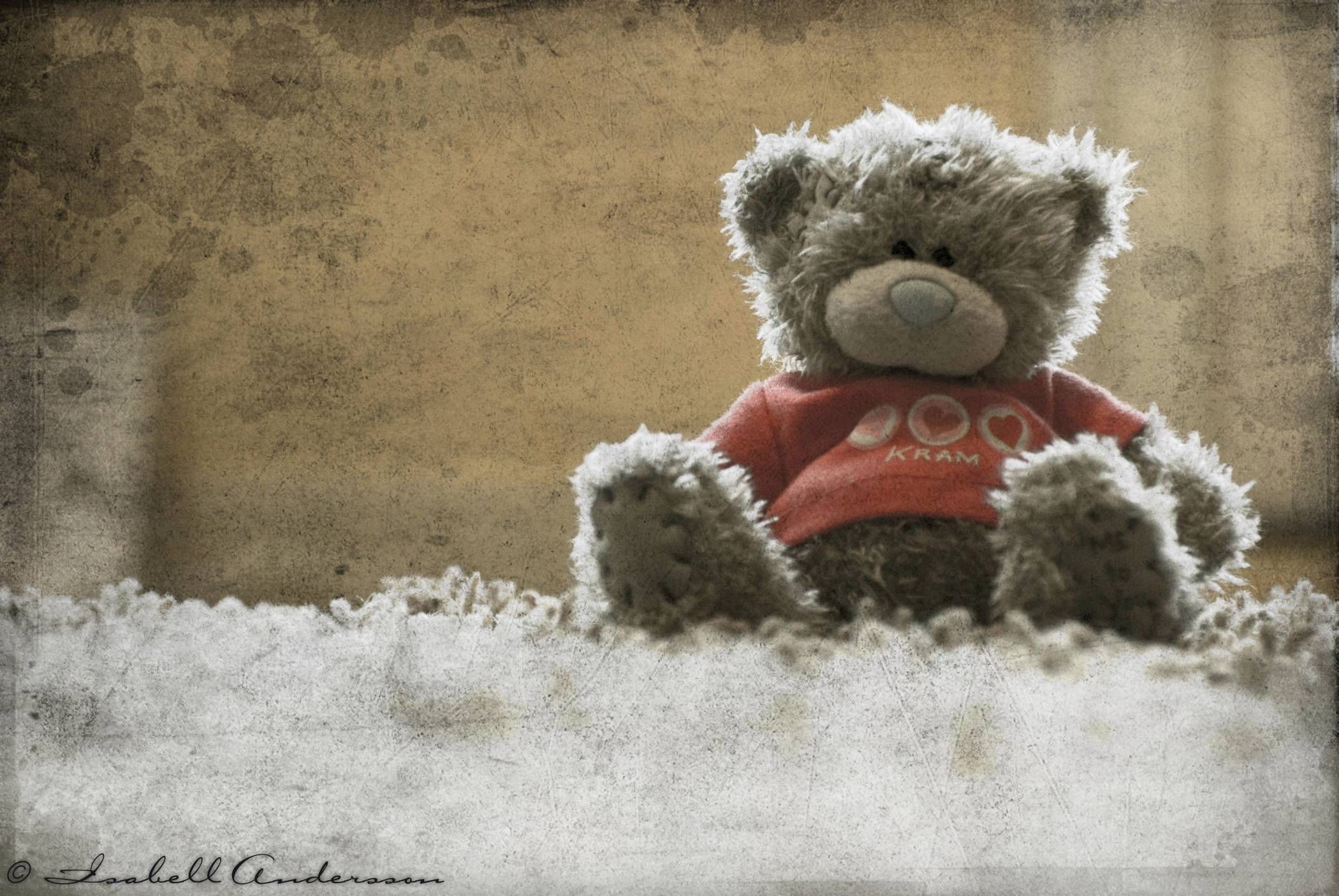 Teddy bear wallpaper