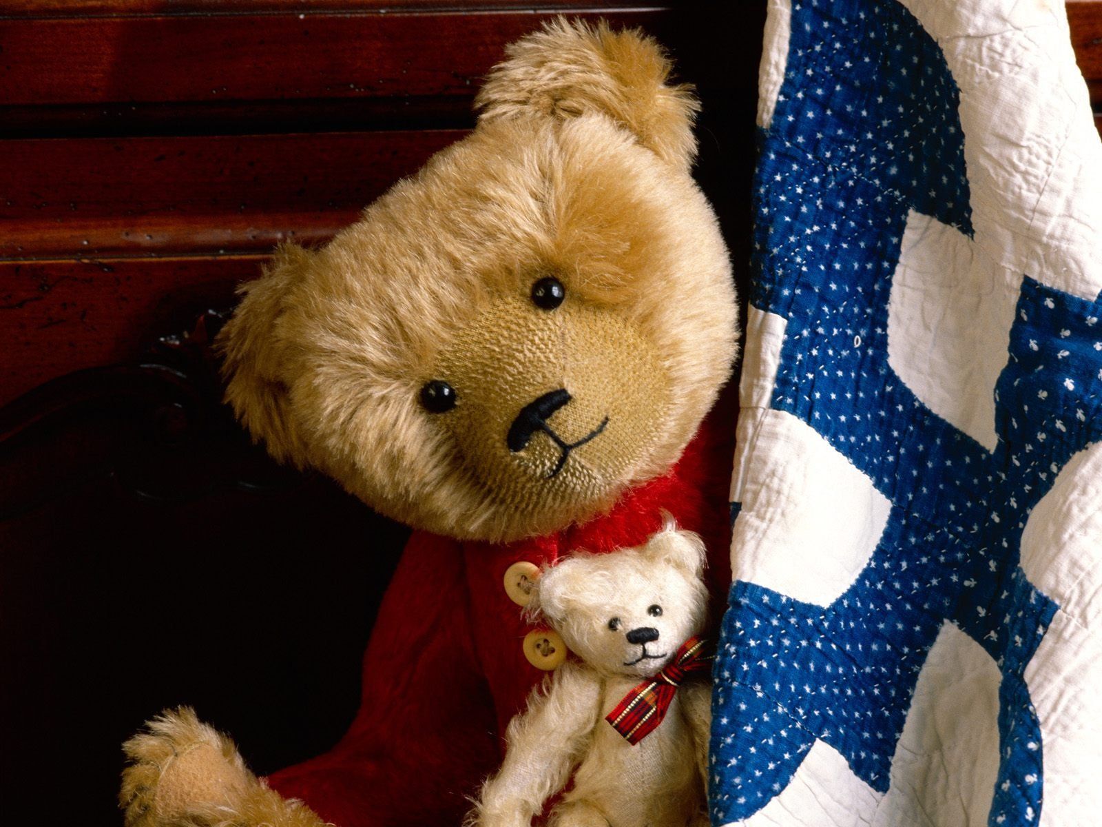 Teddy bear wallpapers
