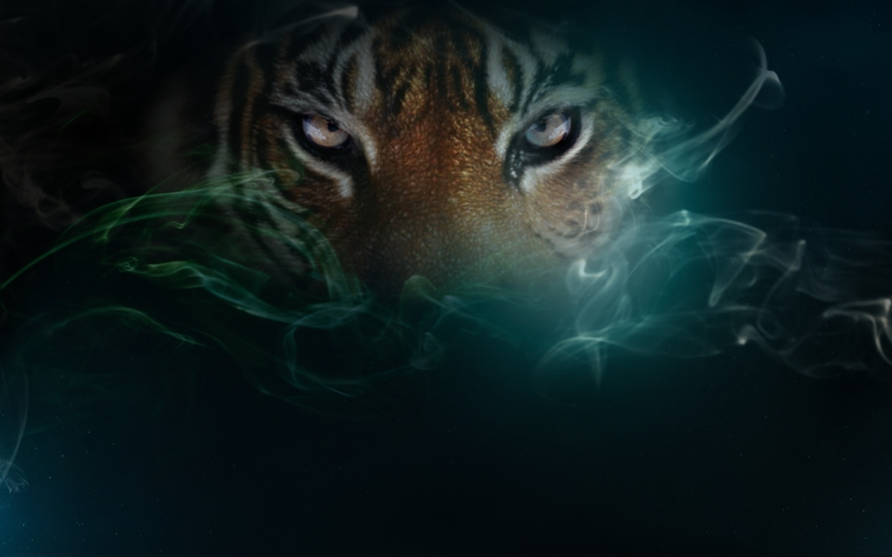 Tiger backgrounds for computer