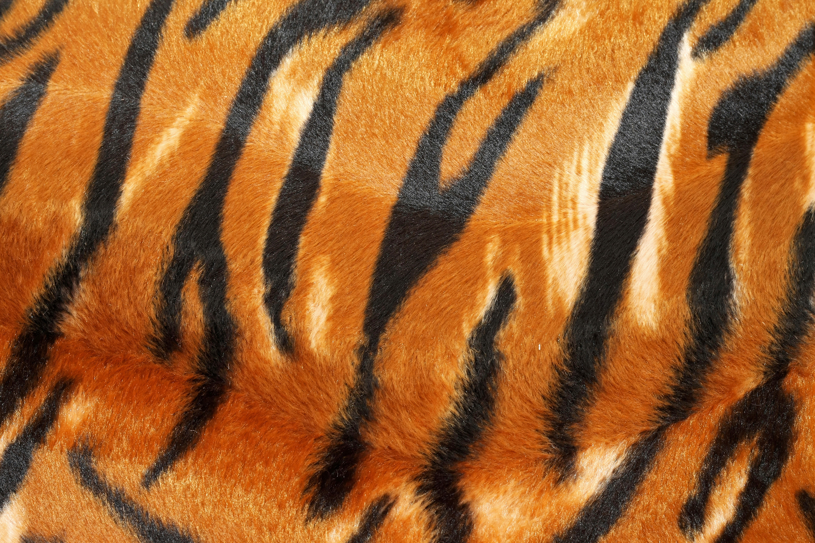 tiger print wallpaper #21