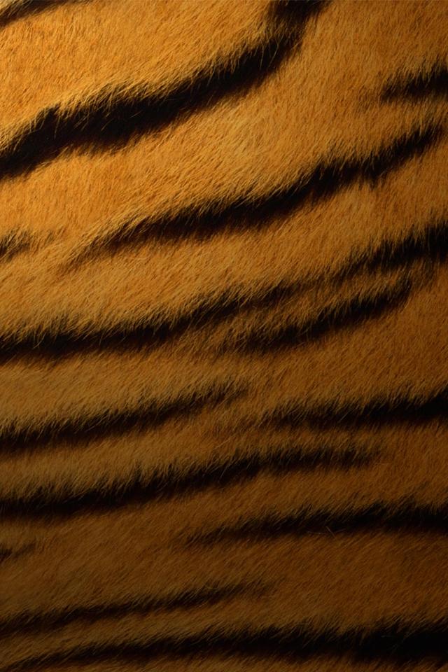 tiger print wallpaper #18
