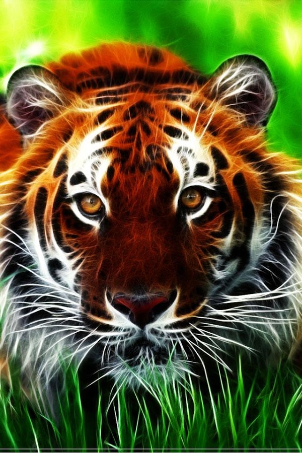 tiger wallpaper #8