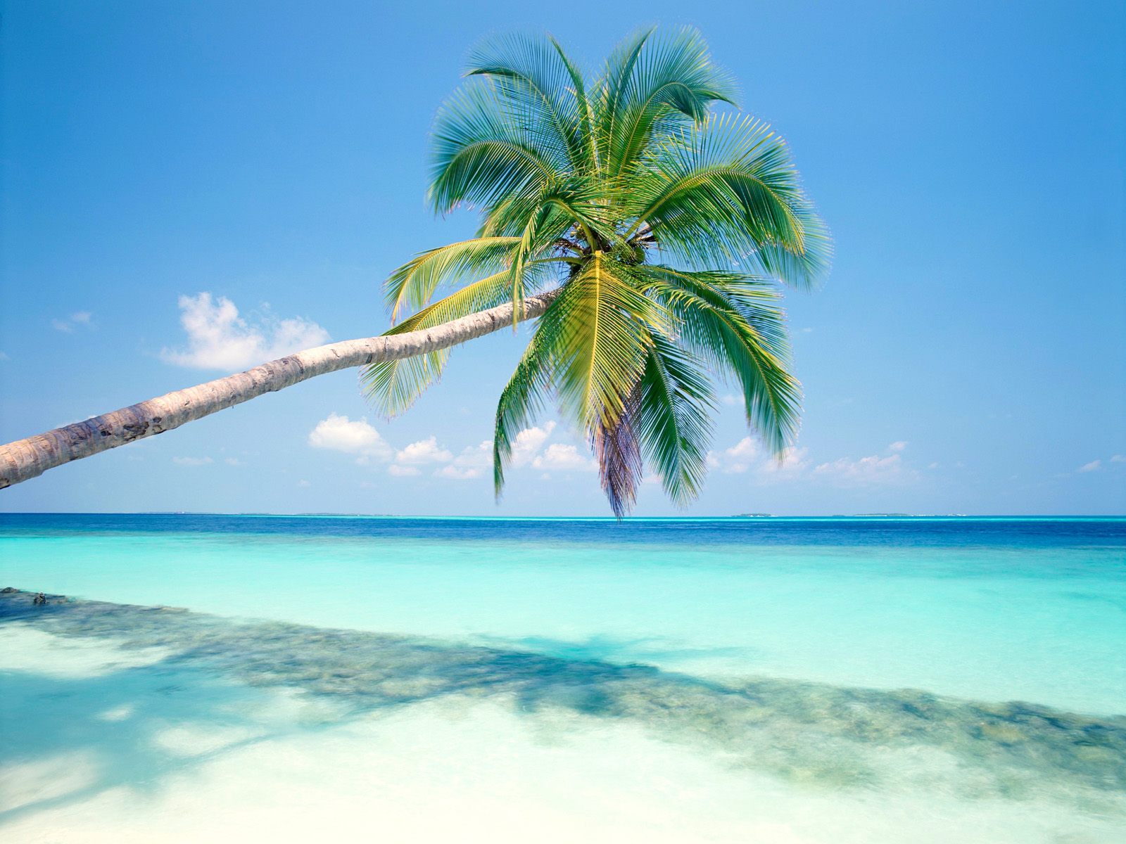 Tropical island pictures wallpaper