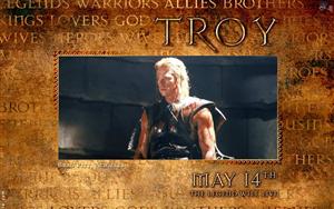 Troy Movie Wallpaper #8