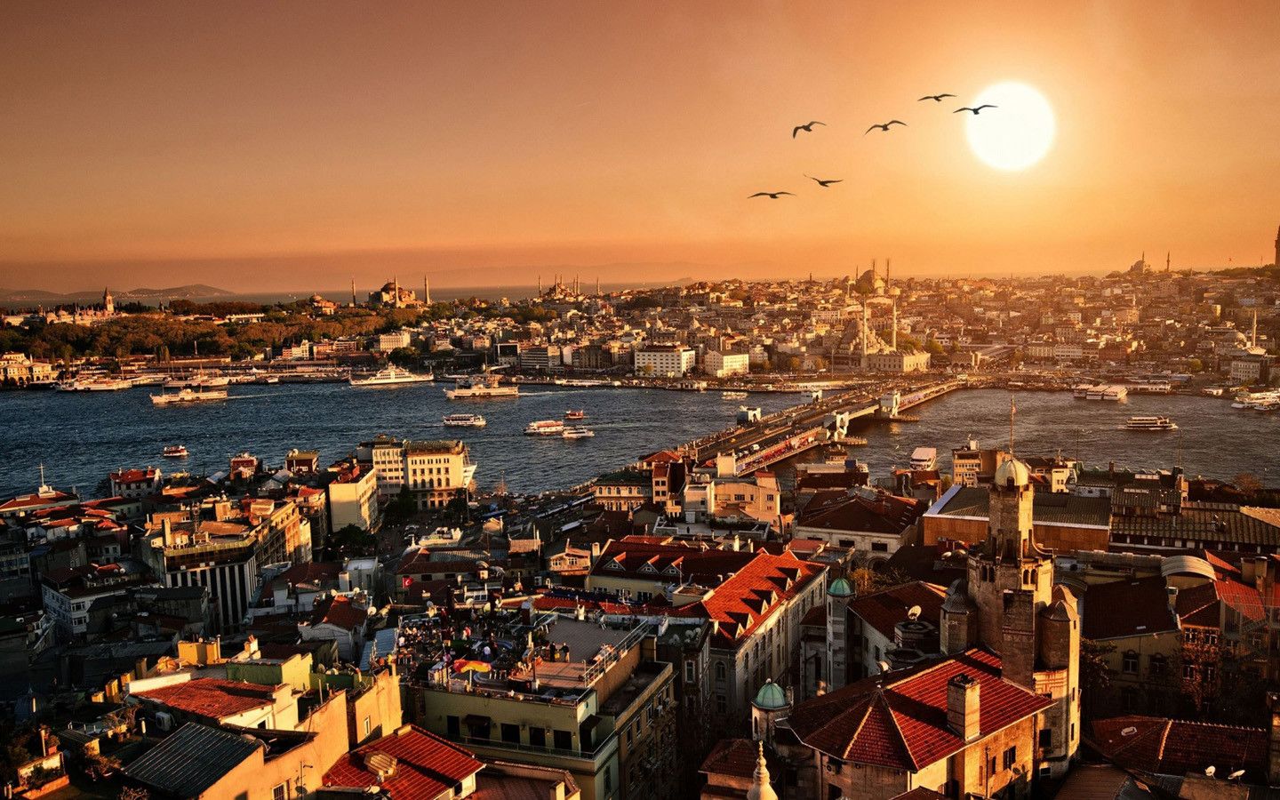 Free Turkey Wallpaper, Turkey Pics for Desktop | 40 Handpicked