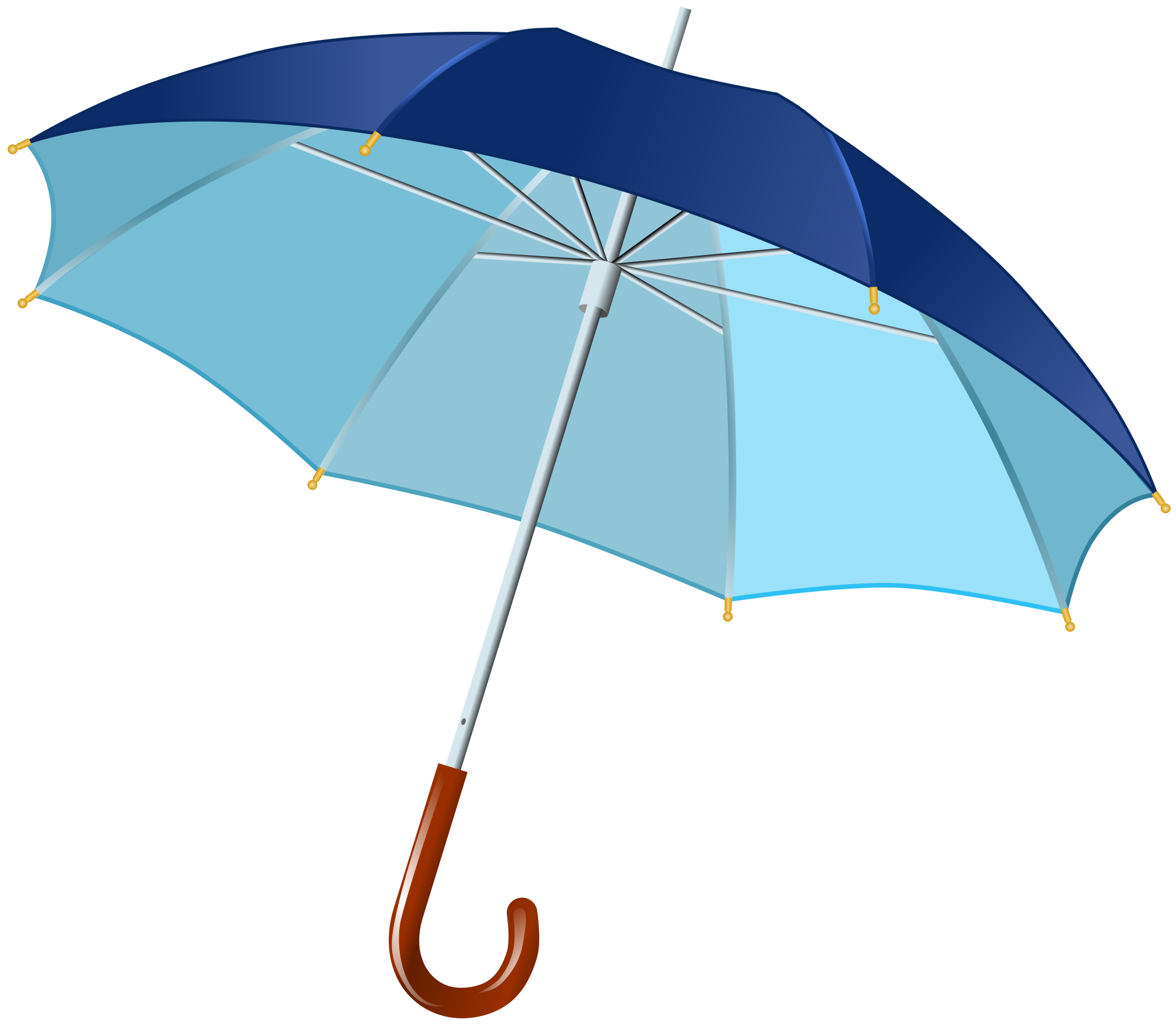 Umbrella images