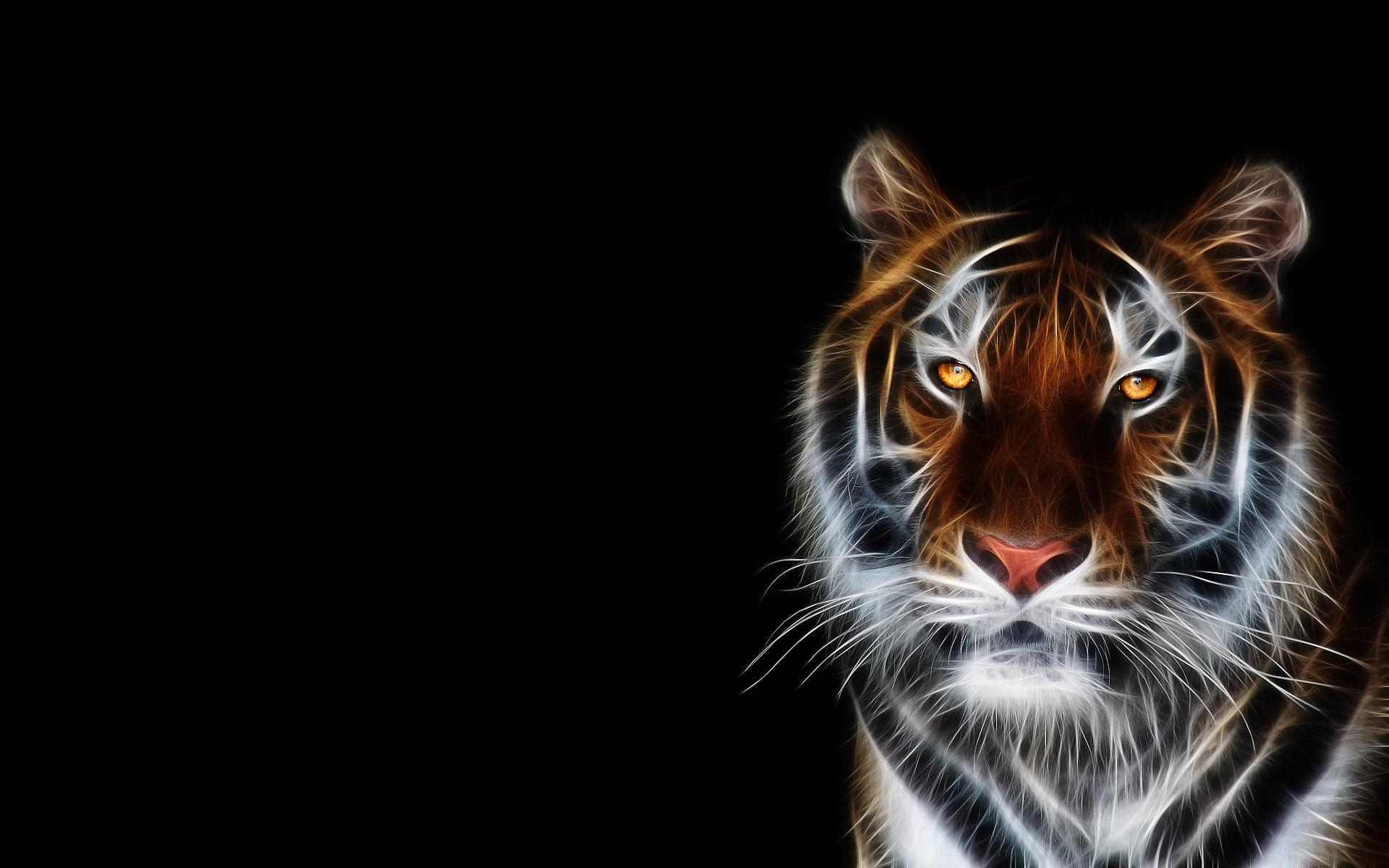 Wallpaper tiger hd