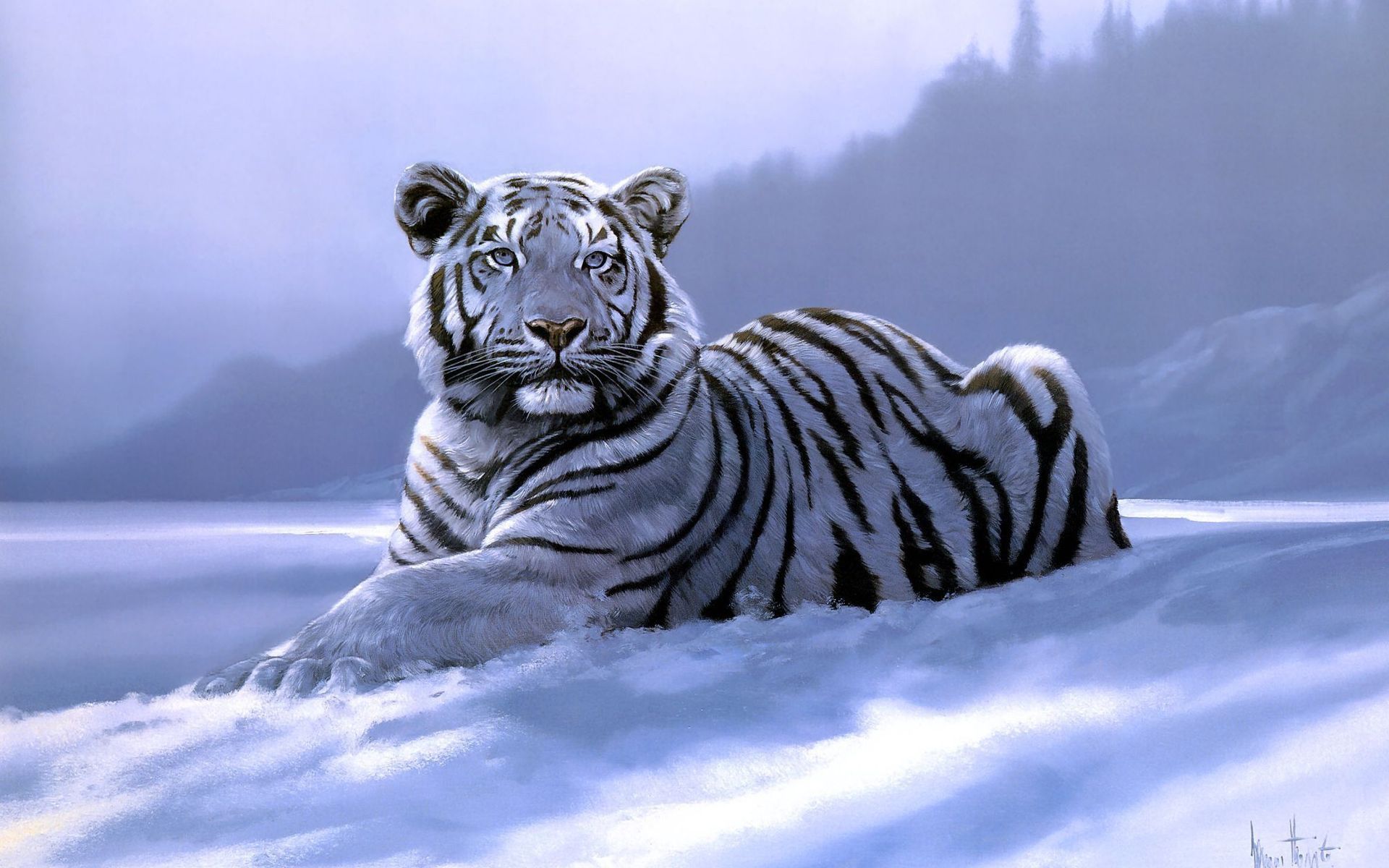 White tigers wallpaper
