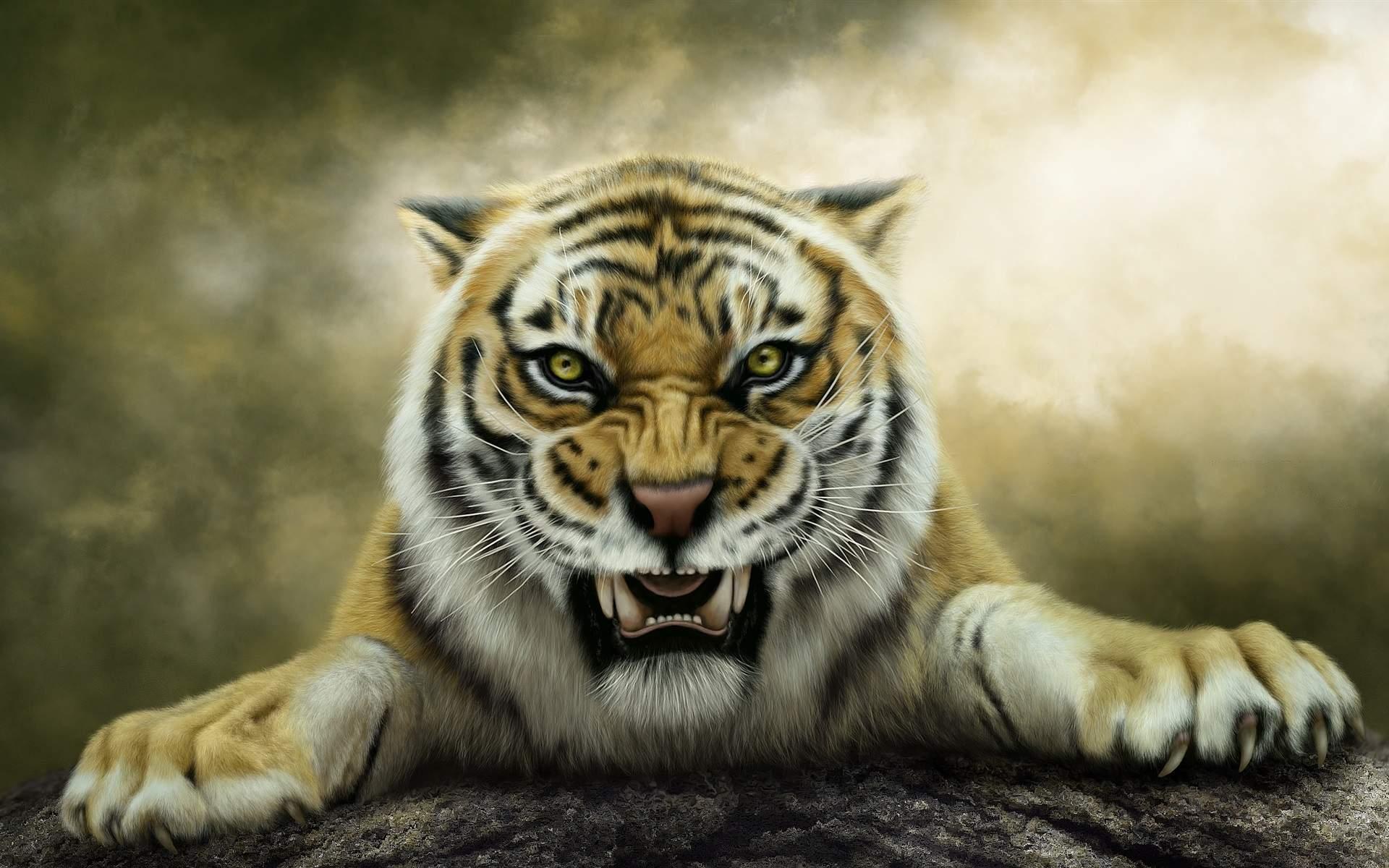 wild tiger wallpaper #11