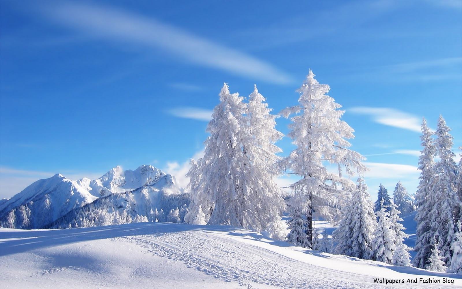 Winter background scenes