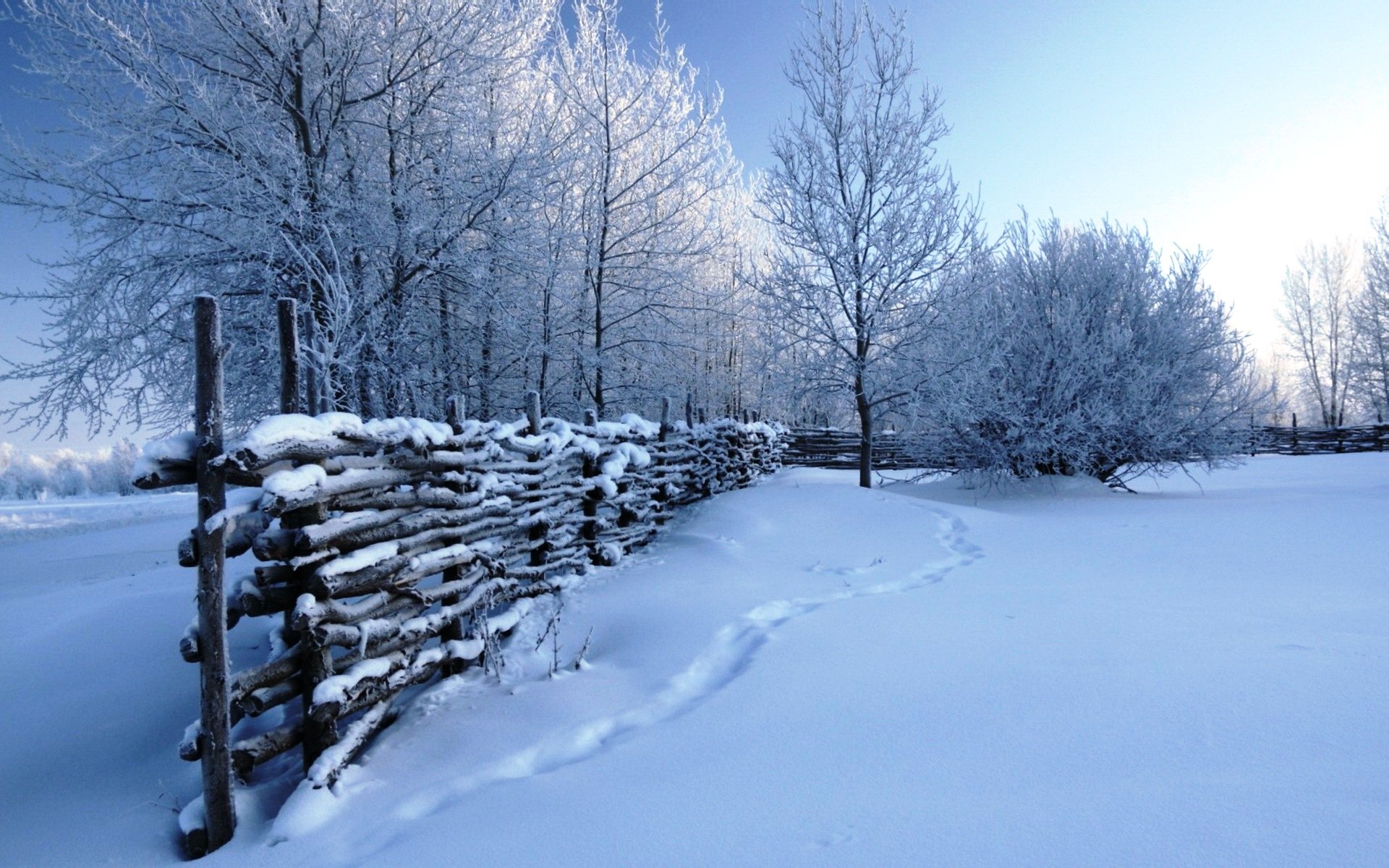 Snow Scene Wallpaper