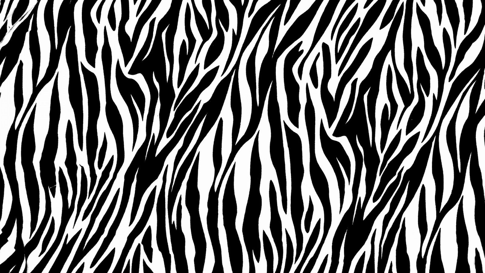 zebra print wallpaper #2