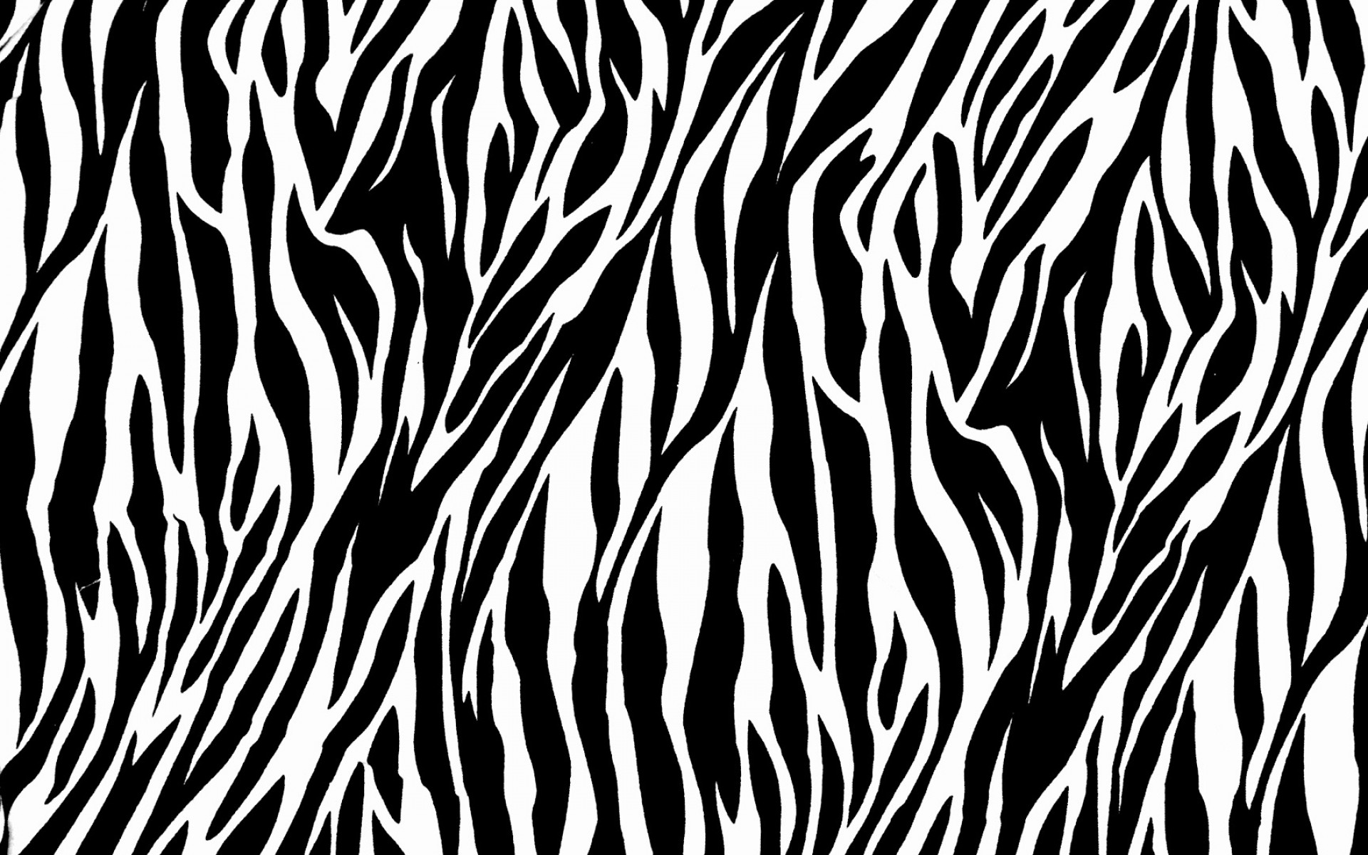 zebra print wallpaper #19