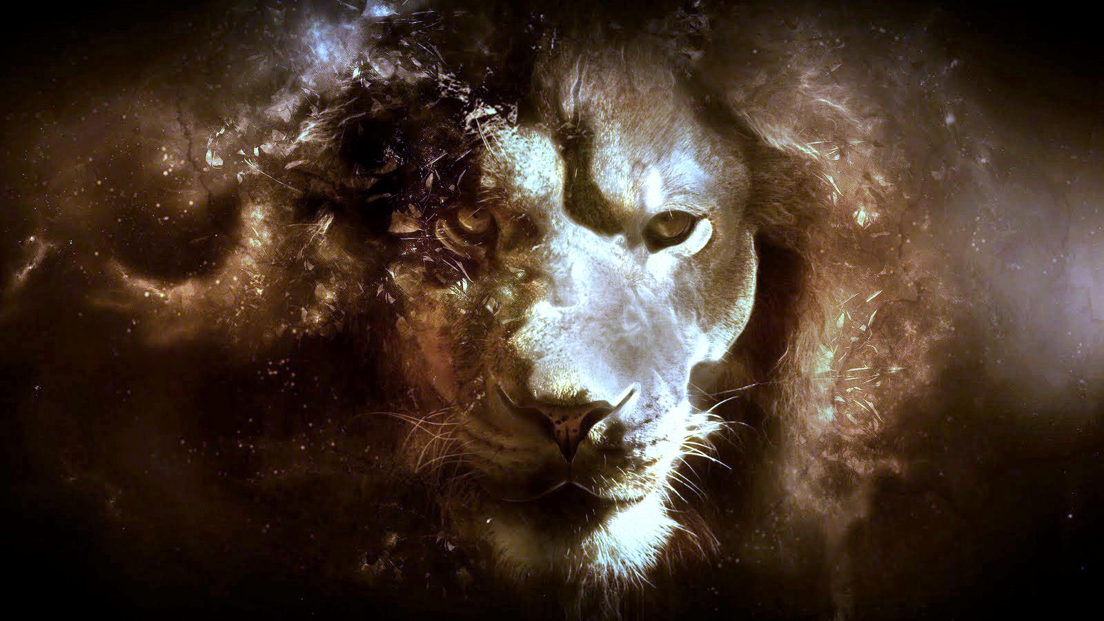 Abstract lion wallpaper.