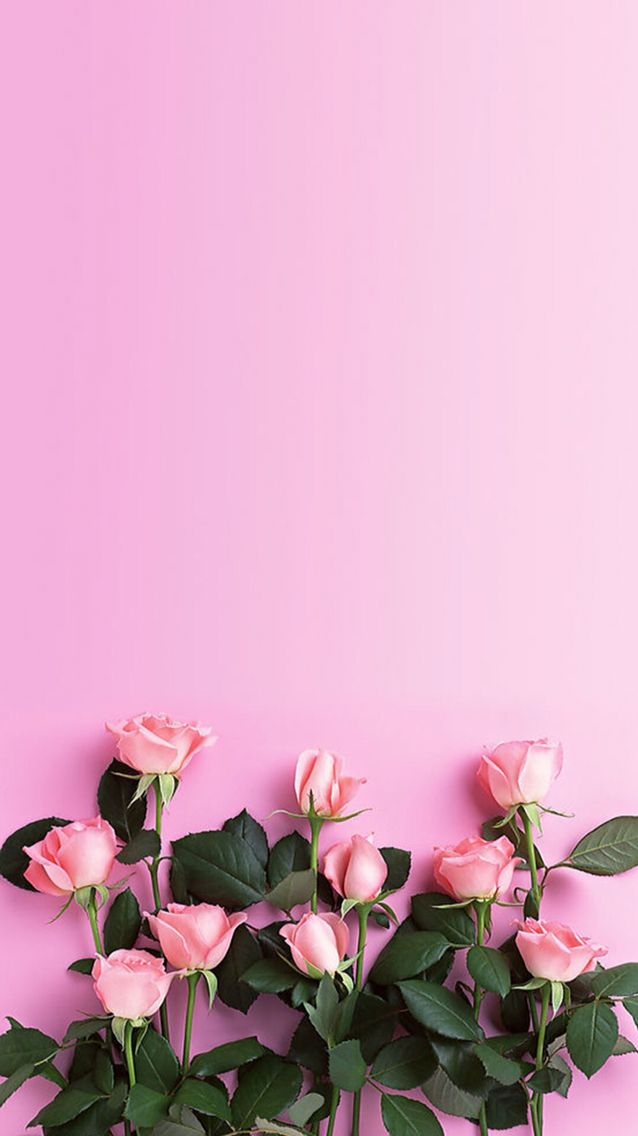 1000+ ideas about Pink Wallpaper on Pinterest | Pink backgrounds