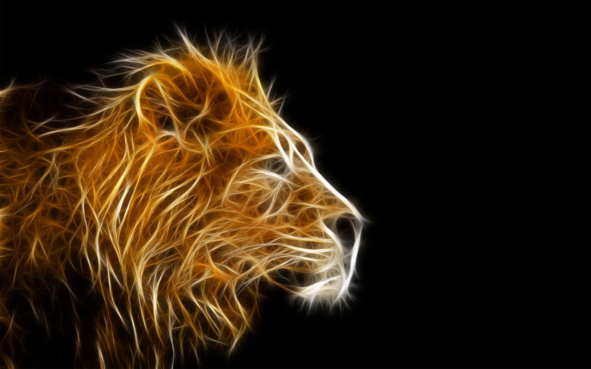 3d Animation Lion Wallpaper Image Num 9