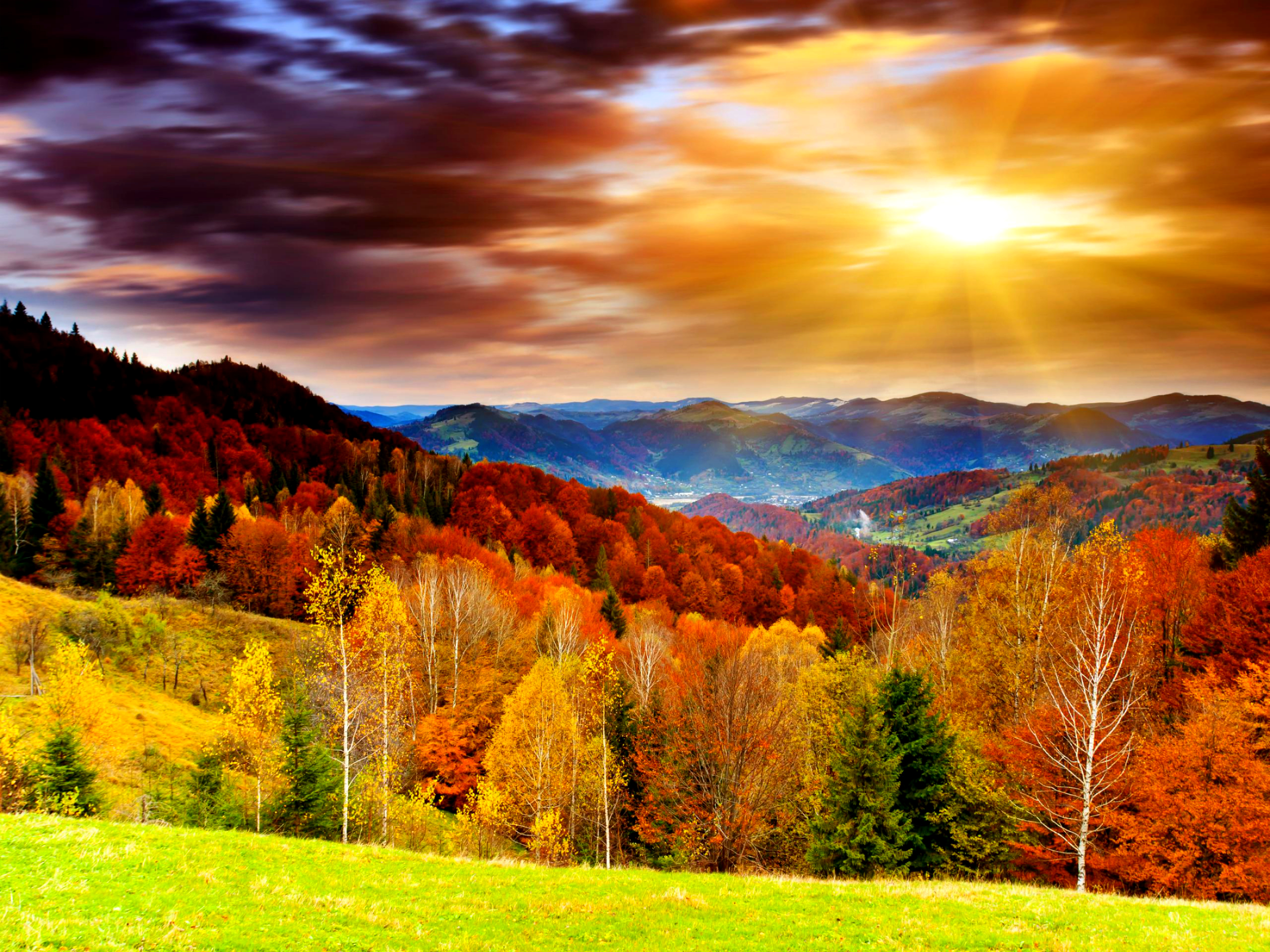Collection of Autumn Colors Wallpaper on HDWallpapers