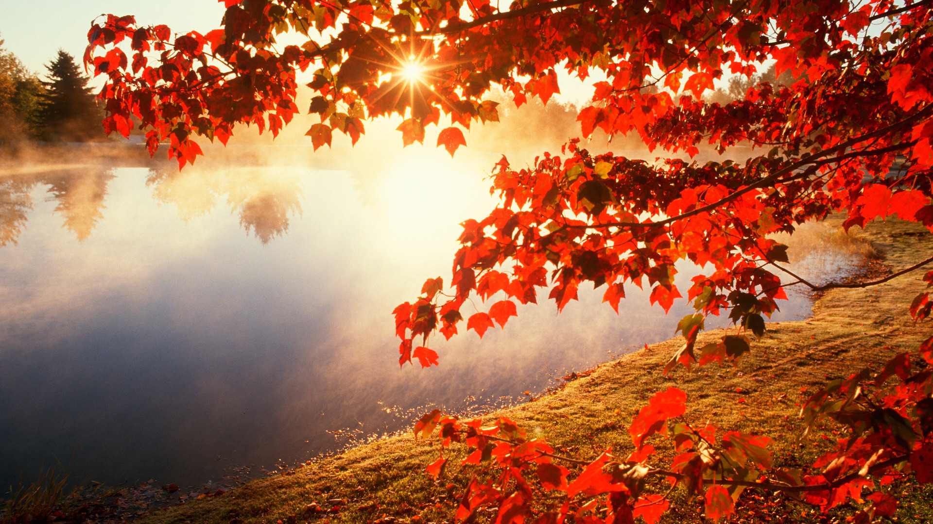 Collection of Autumn Wallpapers on HDWallpapers