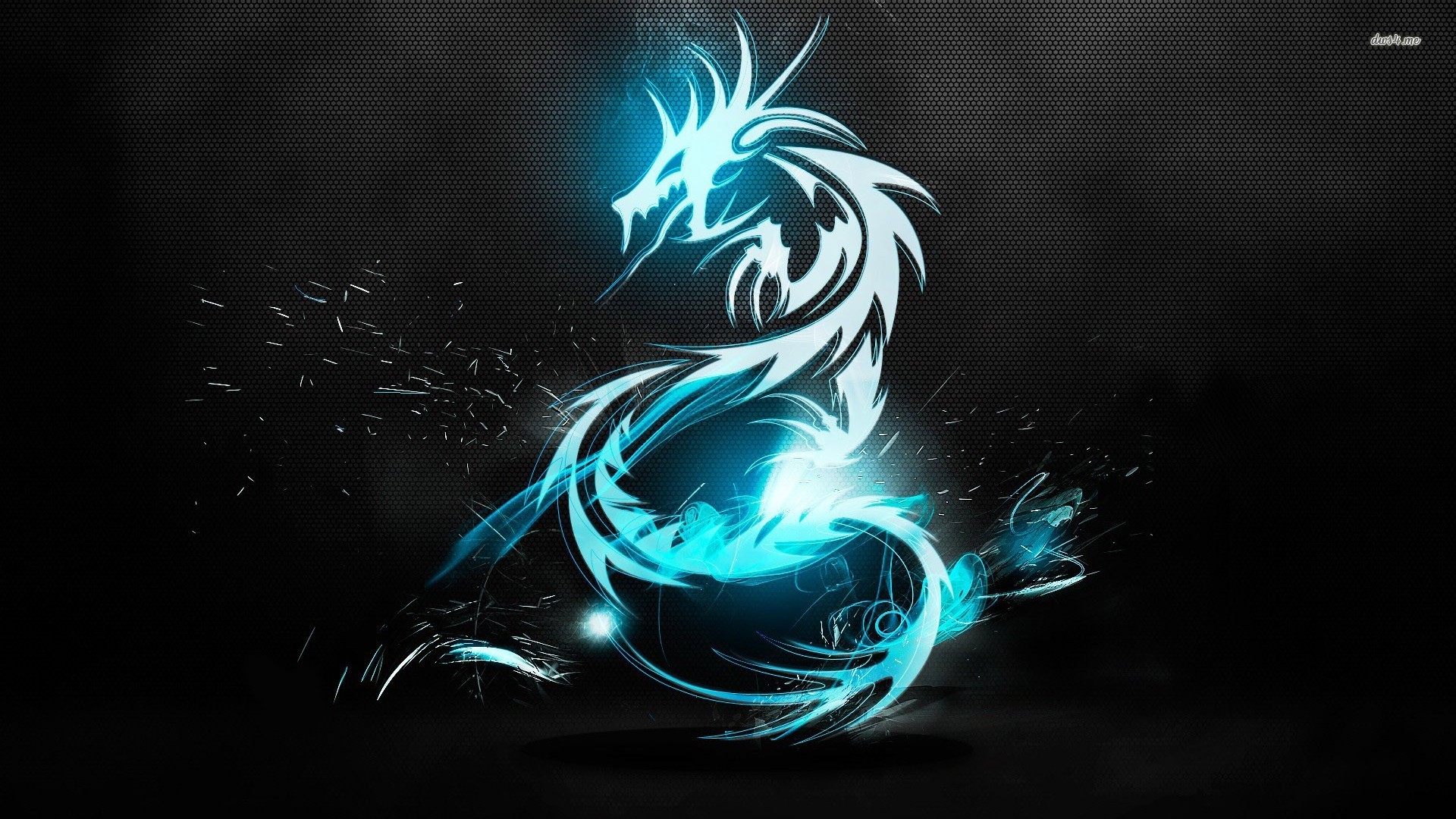 Dragon Wallpapers, Creative Dragon Wallpapers - #WP:FP51 GZHaixieR