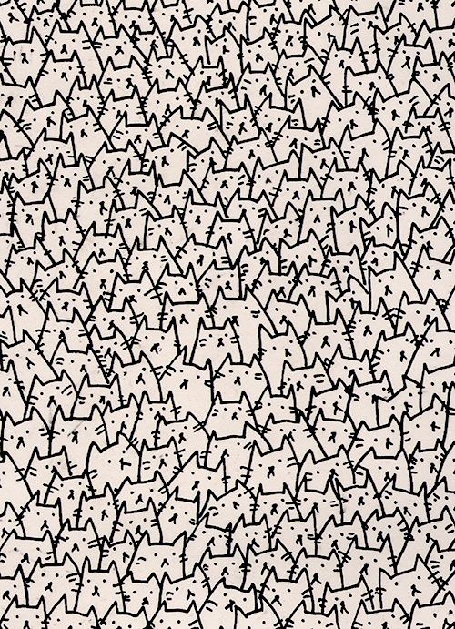 1000+ ideas about Cat Wallpaper on Pinterest | Iphone wallpaper