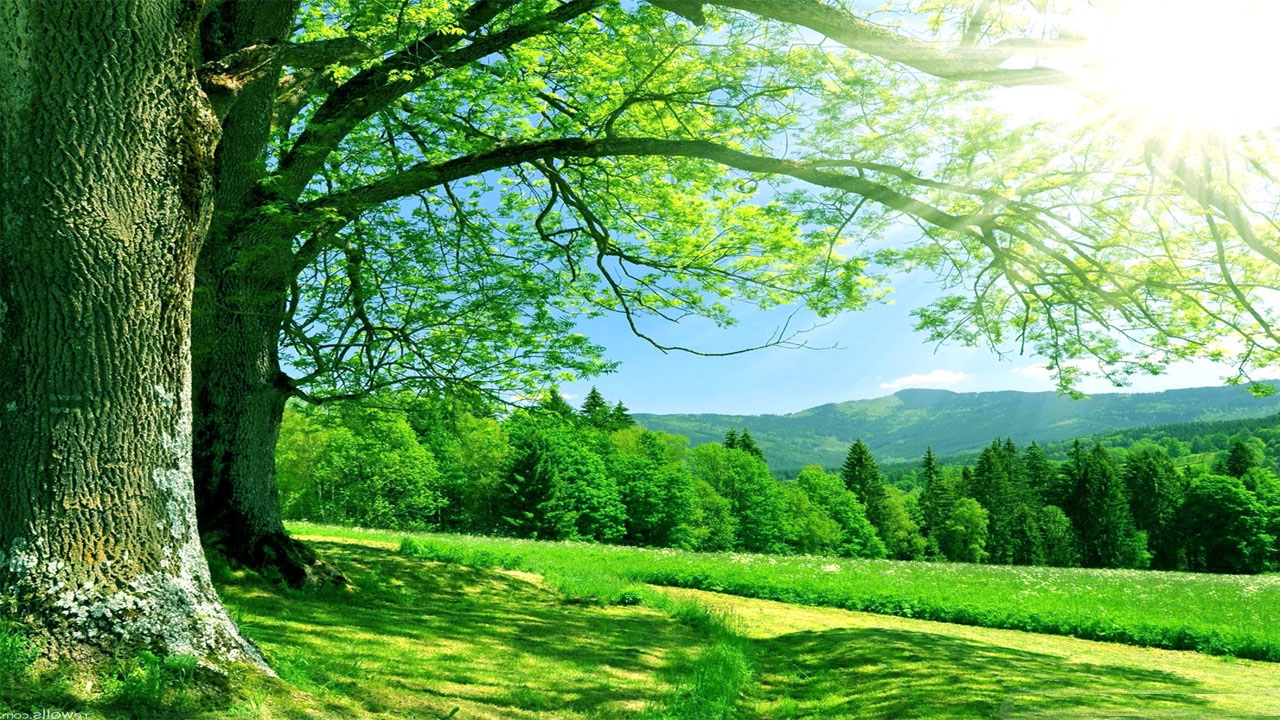 76 background nature hd Pictures