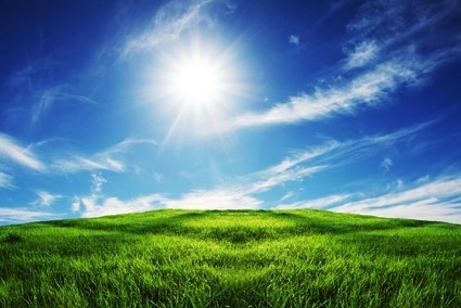 Grass and the sky background free stock photos download (23,716