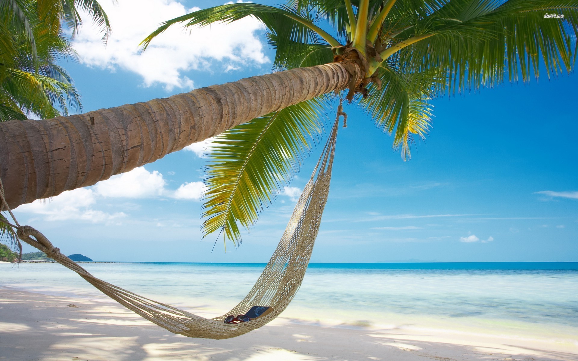Collection of Beach Hammock Wallpaper on HDWallpapers