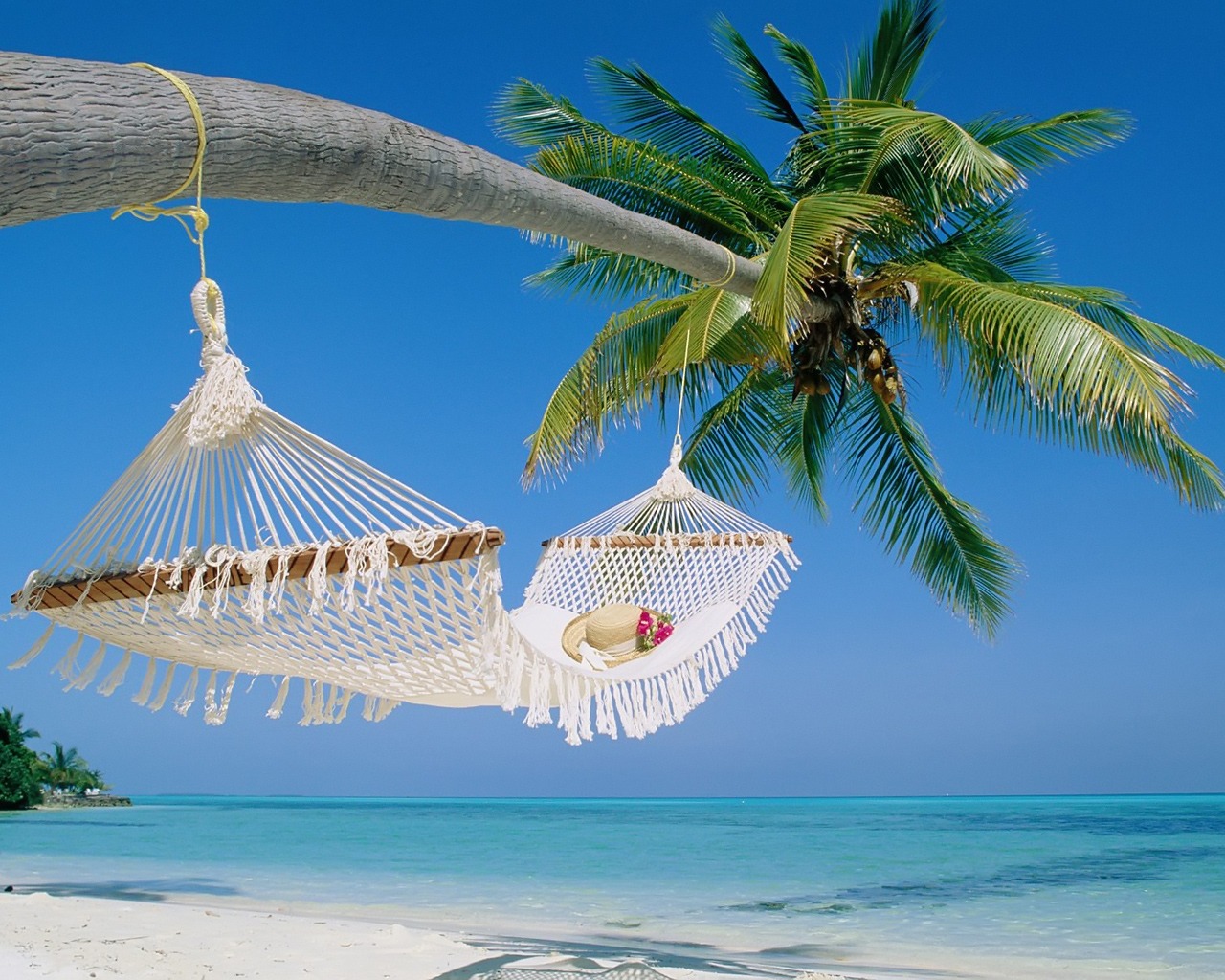 Hammock Wallpaper Beaches Nature Wallpapers in jpg format for free