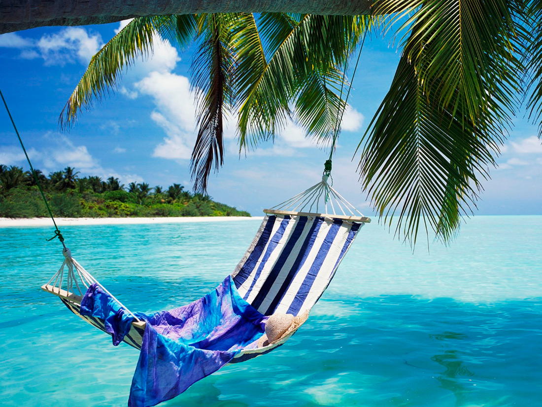17+ images about Beach Hammocks Oh Yeah! on Pinterest | On the