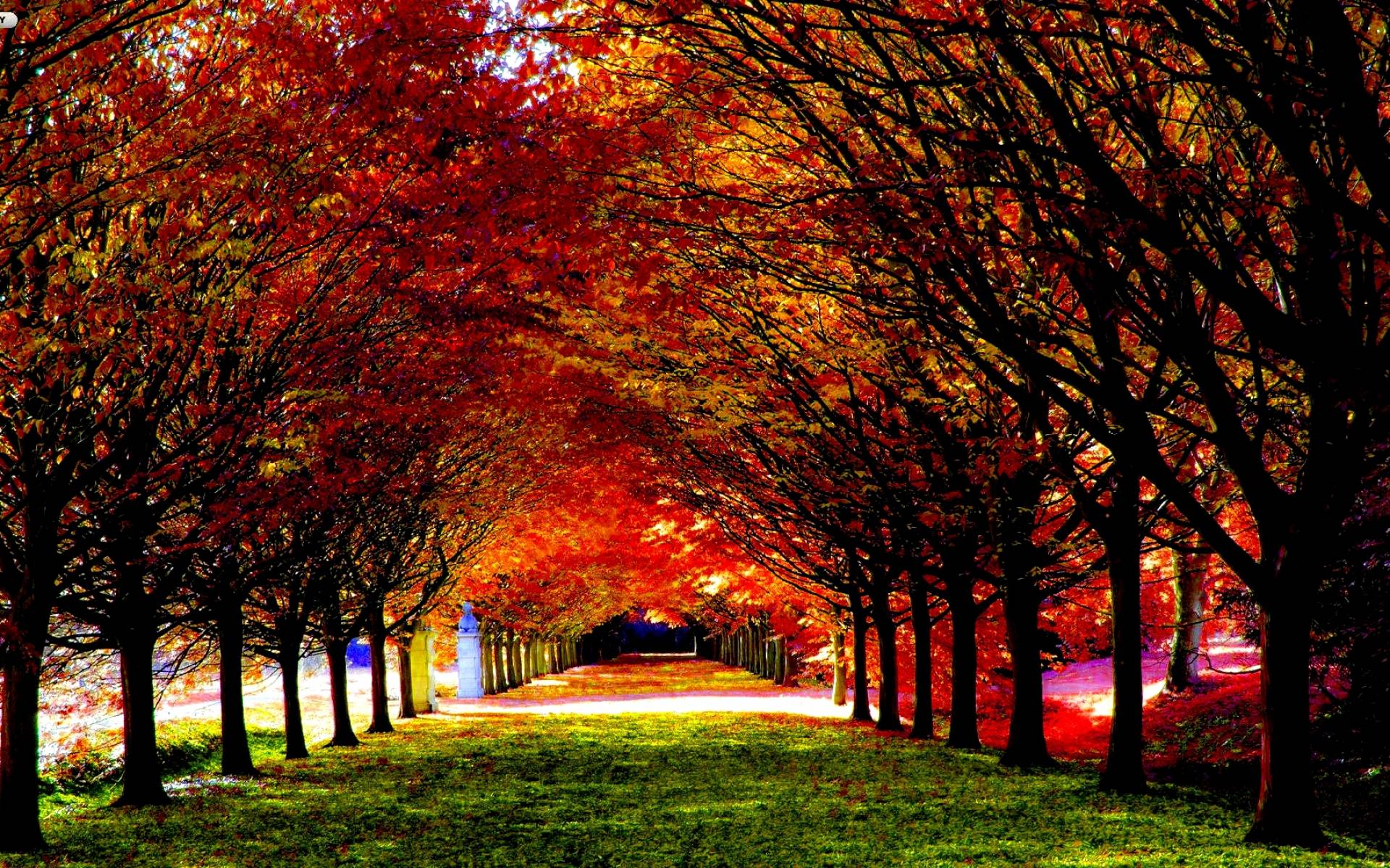 Beautiful Fall Pictures Wallpapers - Wallpaper Cave