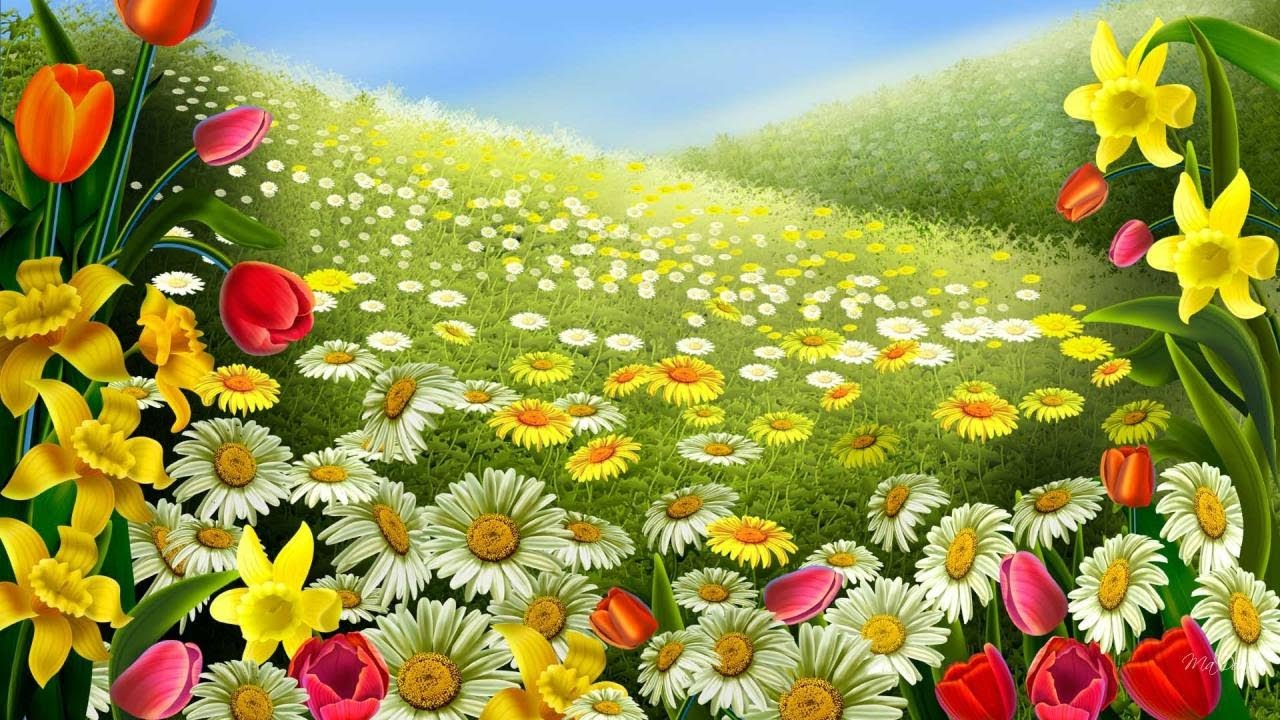 Beautiful Flower Wallpaper - YouTube