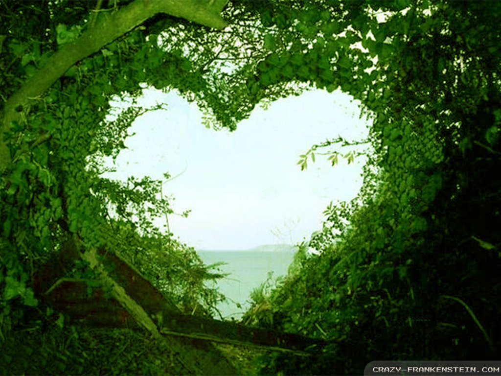 Download Beautiful Love Nature Wallpaper | Full HD Wallpapers
